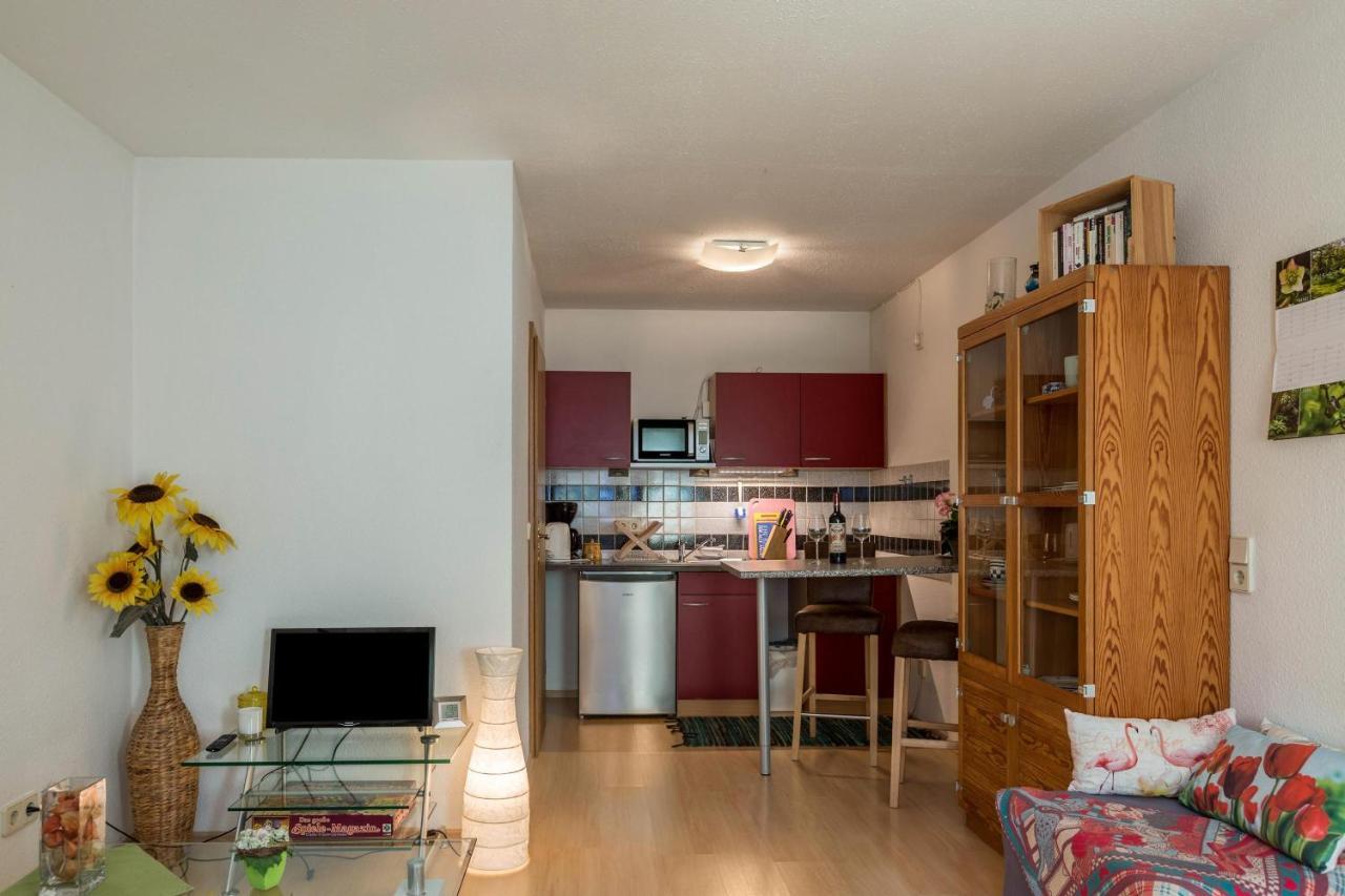 Ferienwohnung Alina 징엔 외부 사진